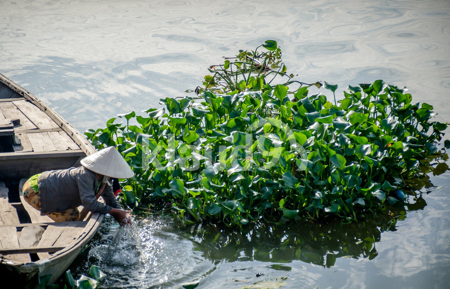 Floating market in Hoi An