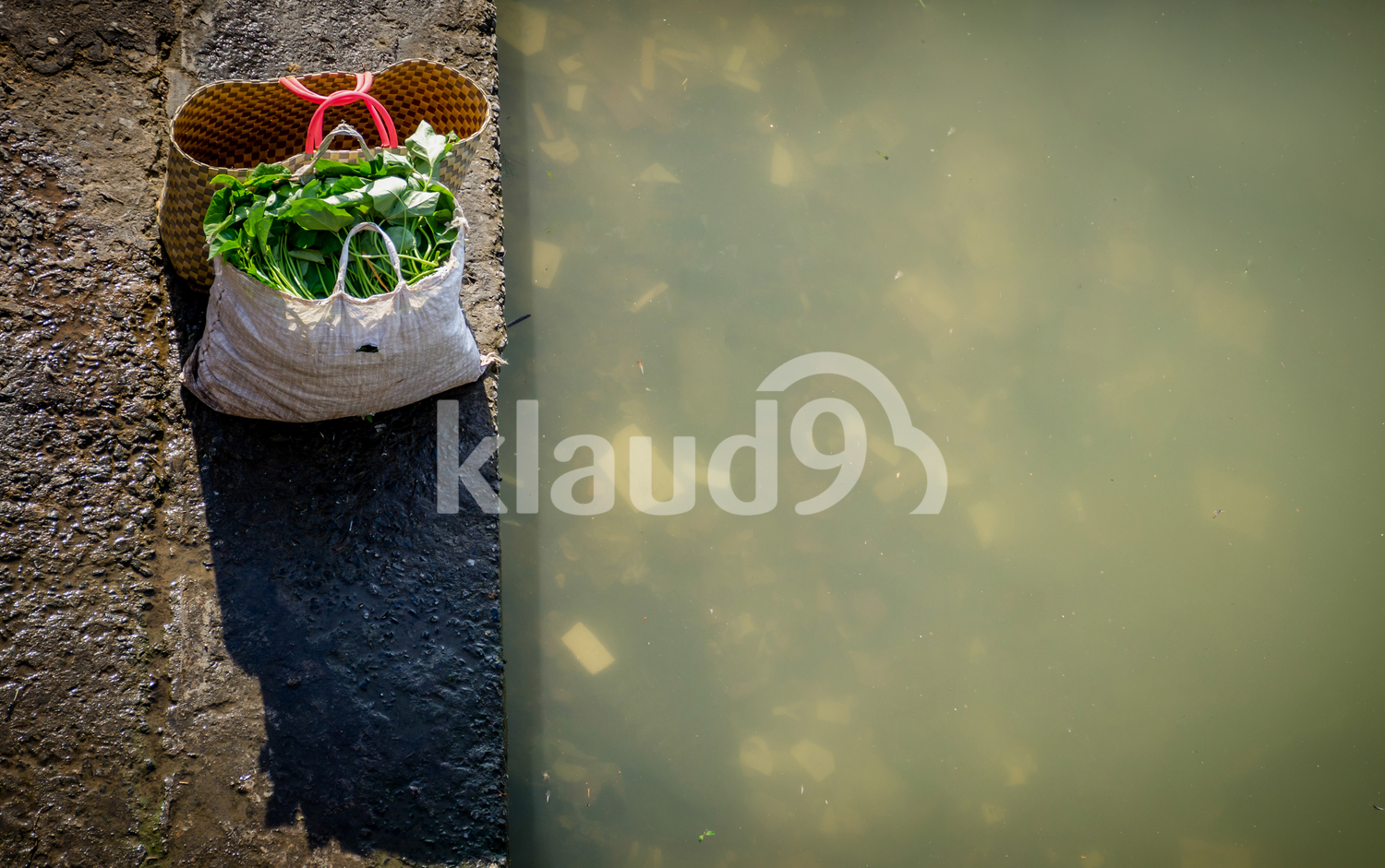 Vegetables left on the streets of Hoi An