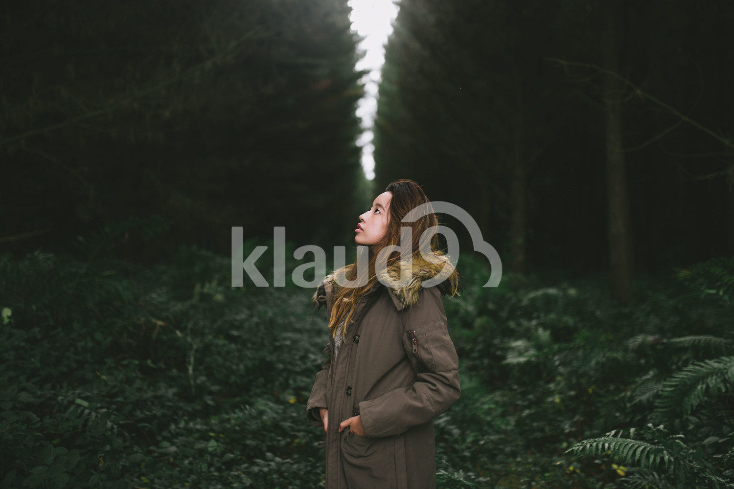 Young woman exploring the forest in Waikato, New Zealand