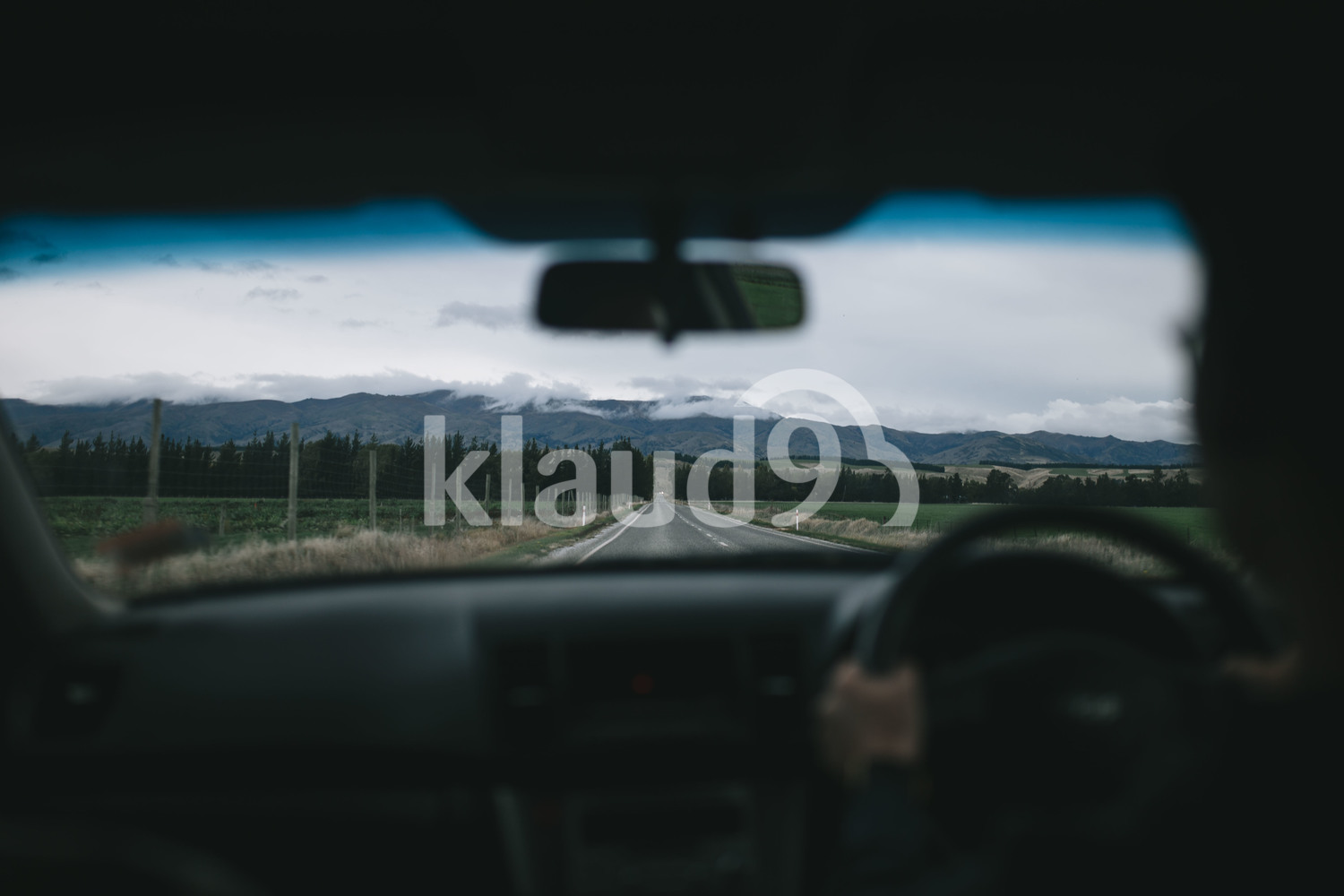 Back view of a young man driving through New Zealand's landscape