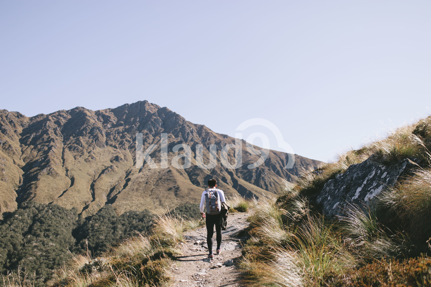 Back view of a young man trekking through Mountain Cook National Park in New Zealand