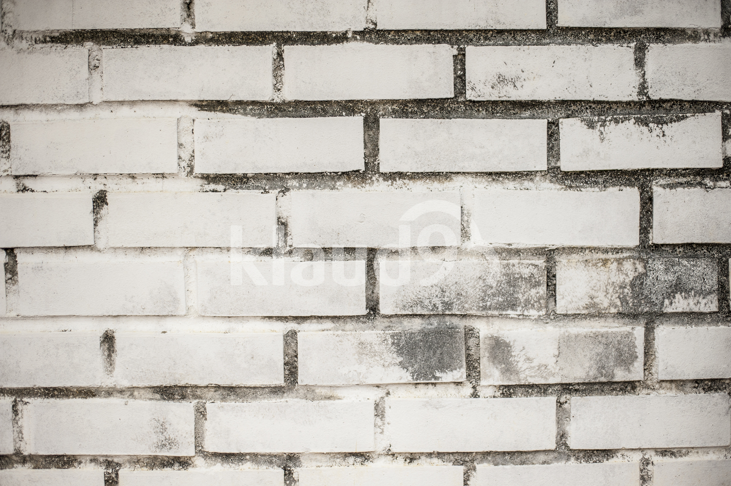 Shot of a weathered wall
