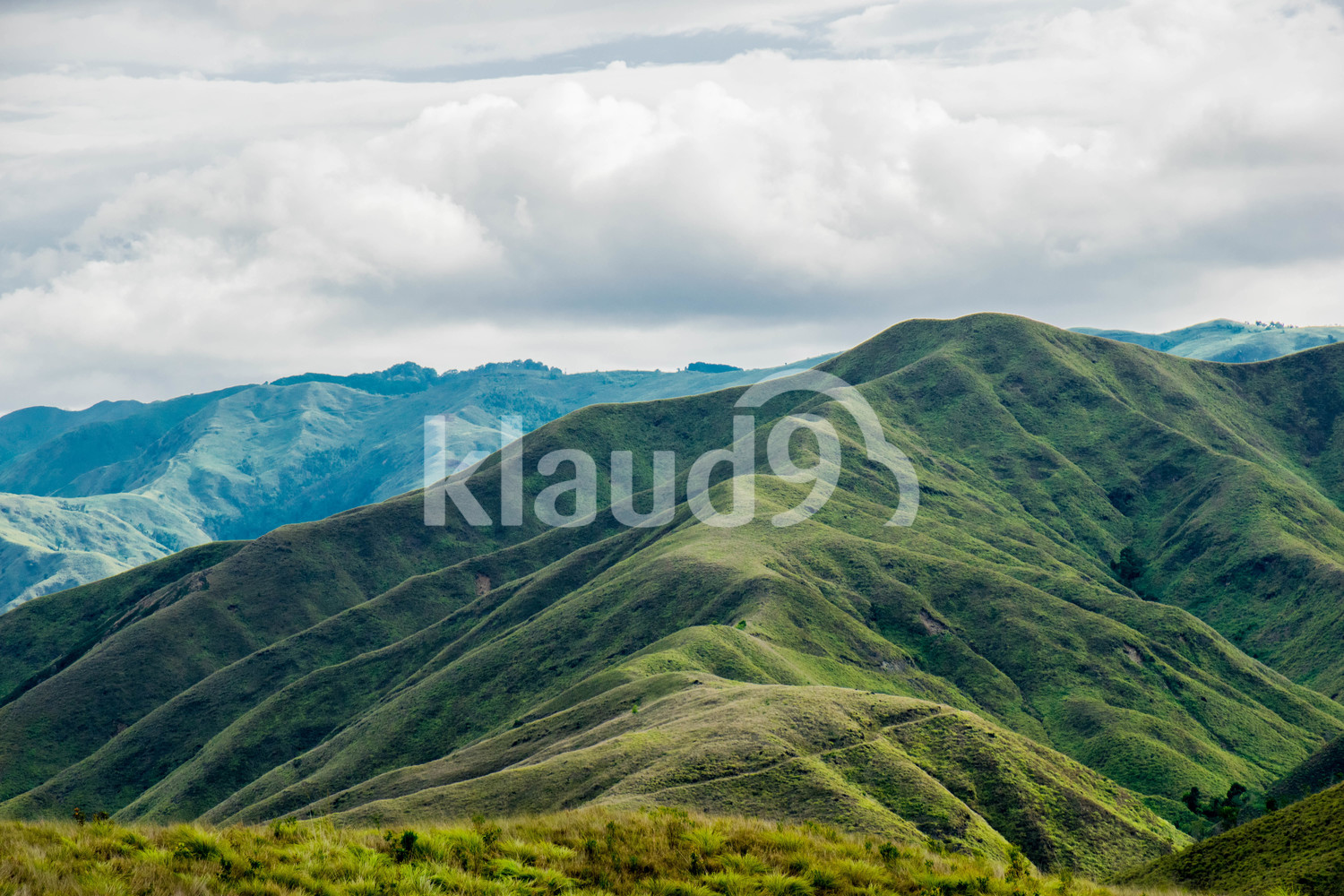Green Landscape in Mindanao