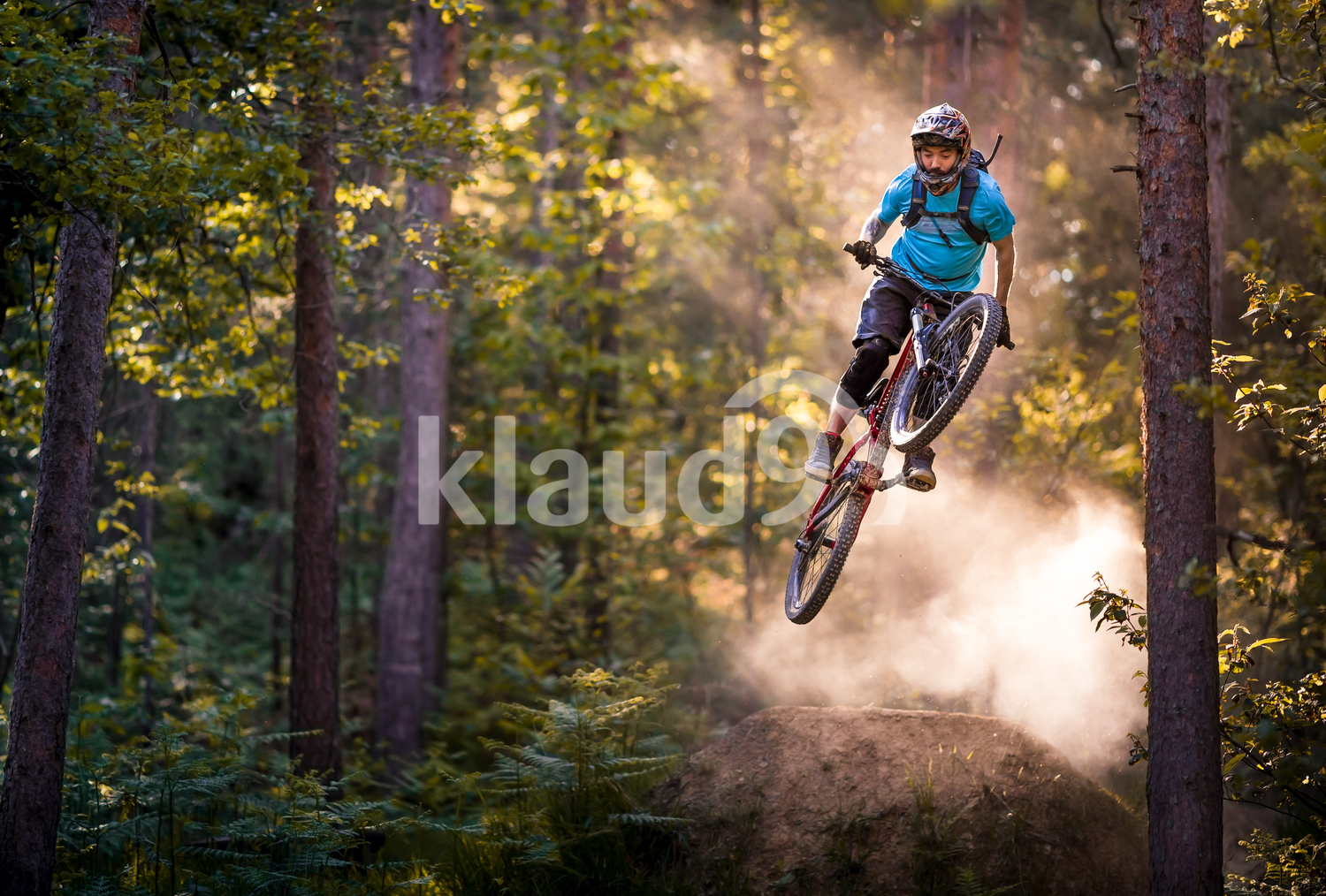 Forest is the perfect playground