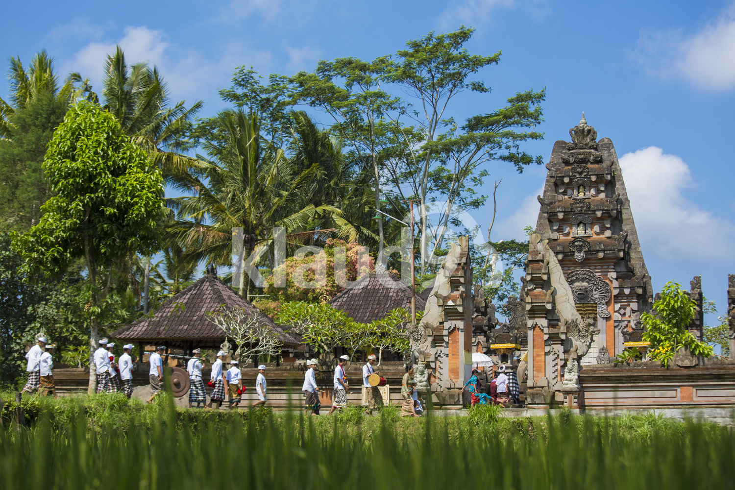 Temple in Rice field Bali
