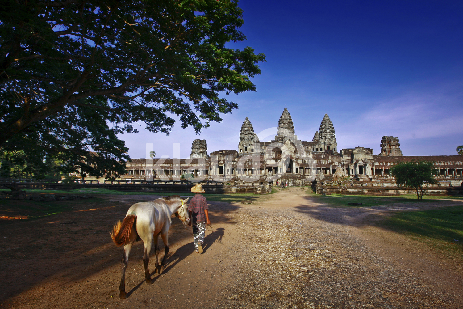 Ankor Wat Back Entry