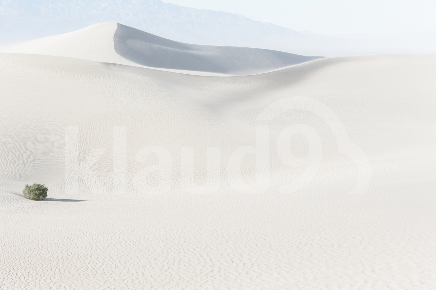 Mesquite Sand Dunes Death Valley California USA