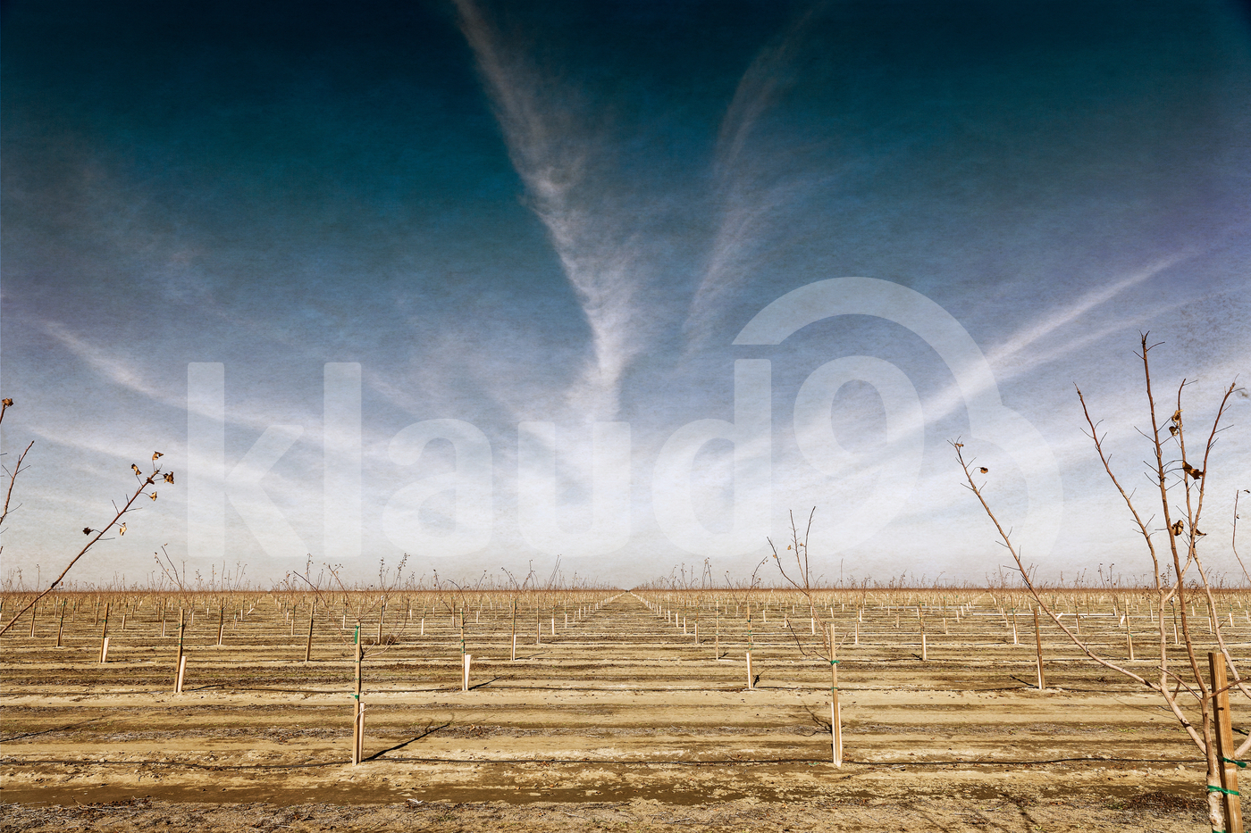 Agricultural Landscape Central California